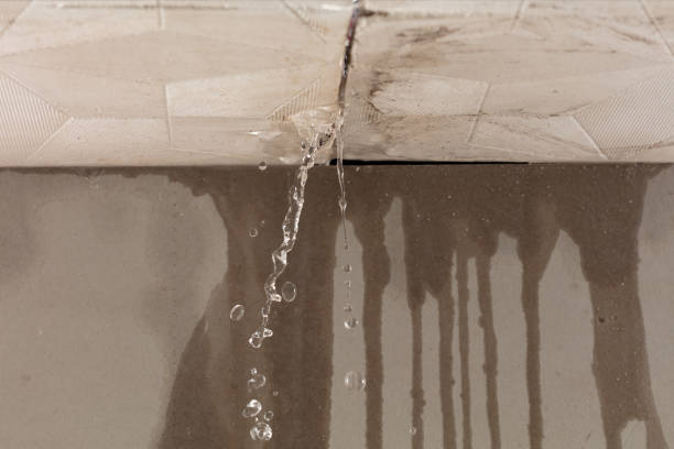 Professional Water Damage Inspection technician working in Jonesboro, IL